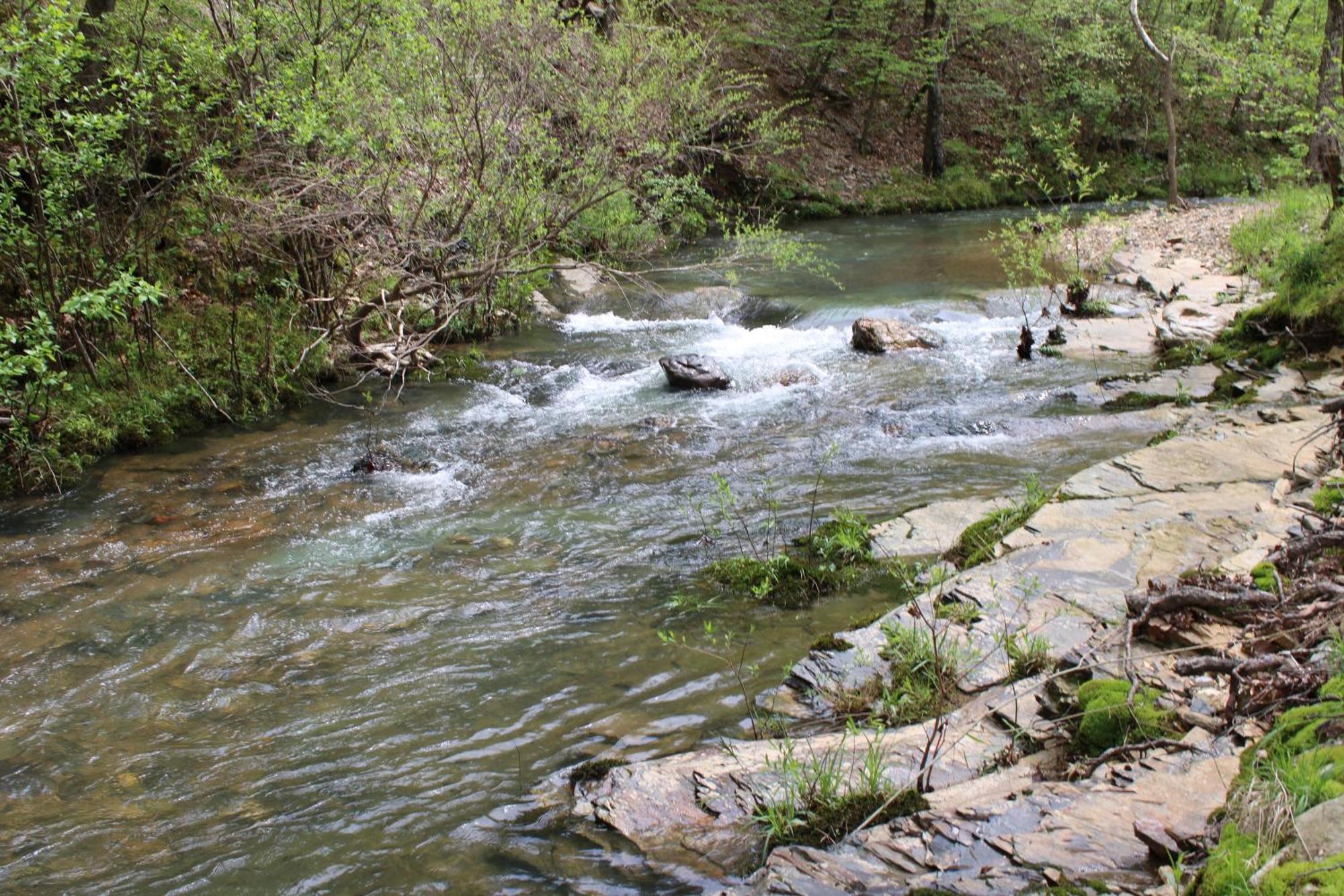 Villa 132 Catherine Park #1 Cozy Romantic Cabin On The Creek Hot Springs Exterior foto