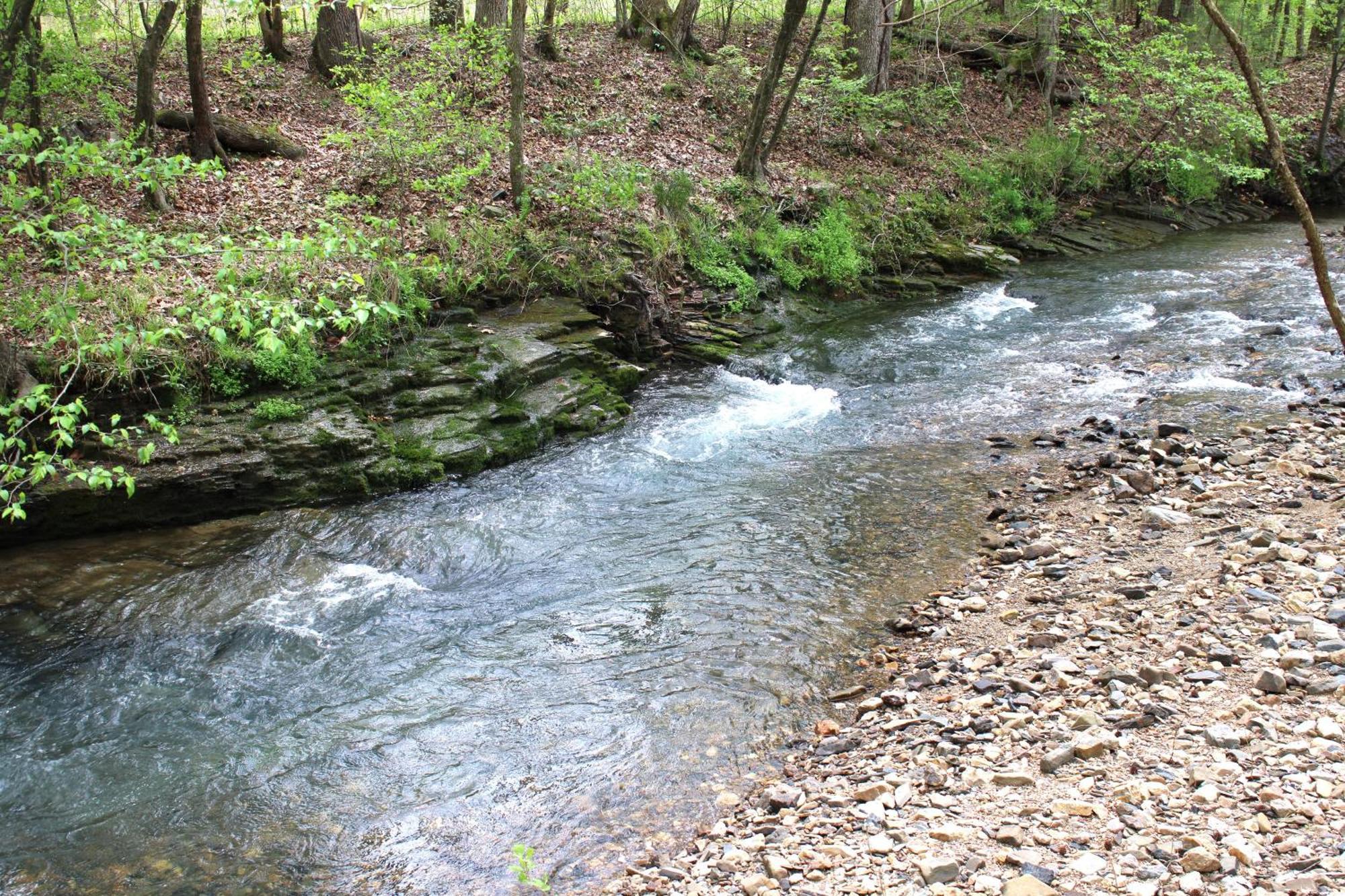 Villa 132 Catherine Park #1 Cozy Romantic Cabin On The Creek Hot Springs Exterior foto